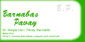 barnabas pavay business card