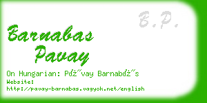 barnabas pavay business card